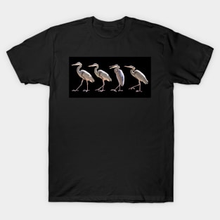 Blue Herons Walking on Black Horizontal T-Shirt